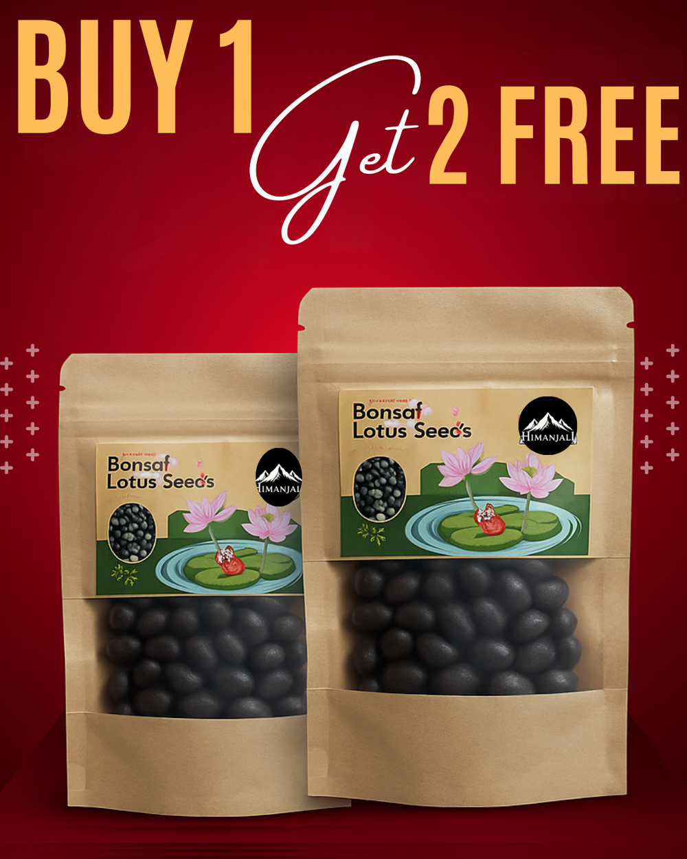 Bonsai Japanese Lotus Seeds - Buy 1 Get 2 Free
