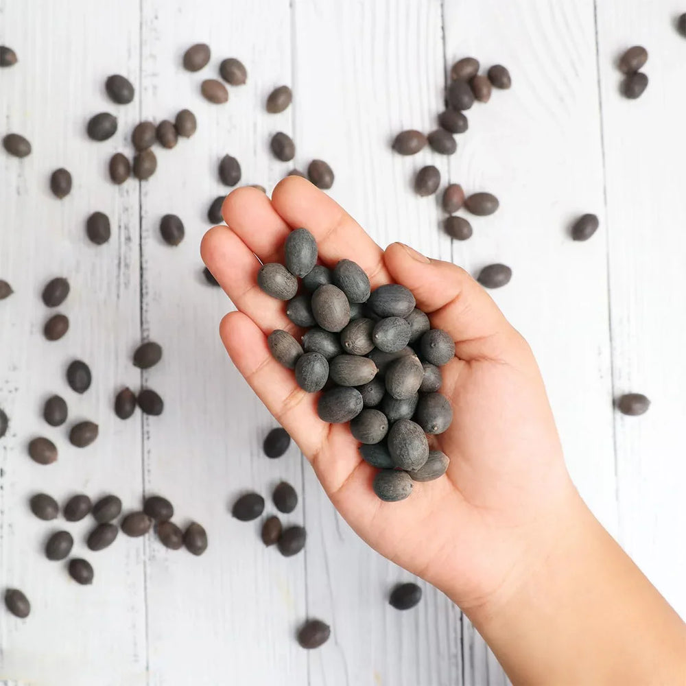 Bonsai Japanese Lotus Seeds - Buy 1 Get 1 Free - 9764602257