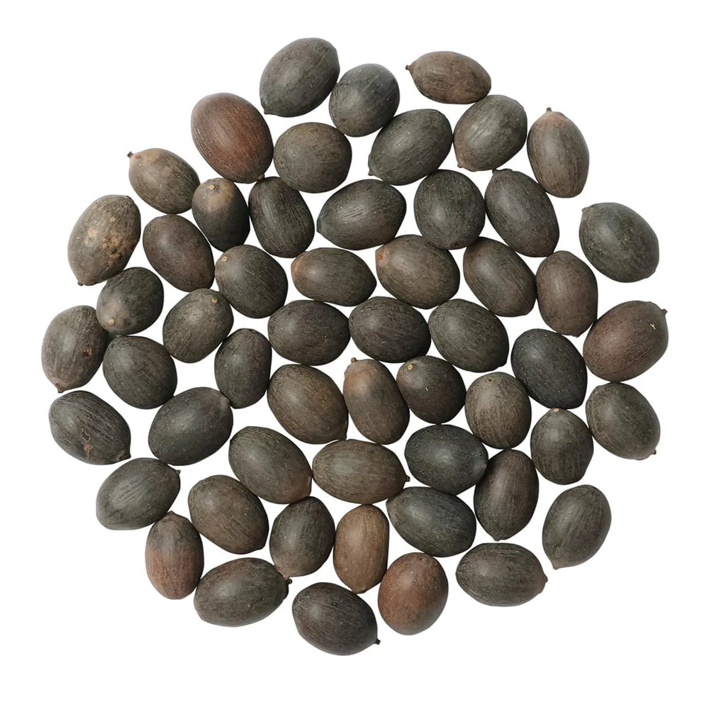 Bonsai Japanese Lotus Seeds - Buy 1 Get 2 Free
